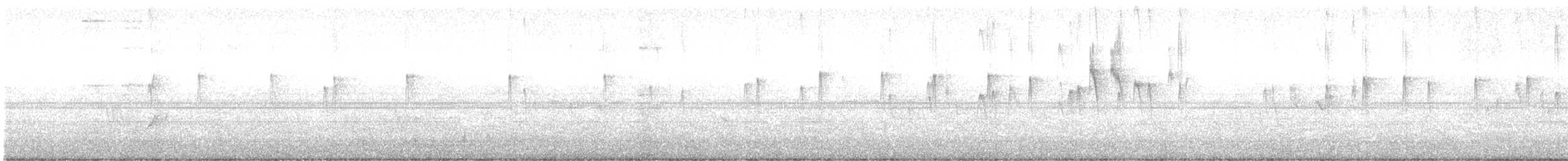 Sick's Swift - ML633127926