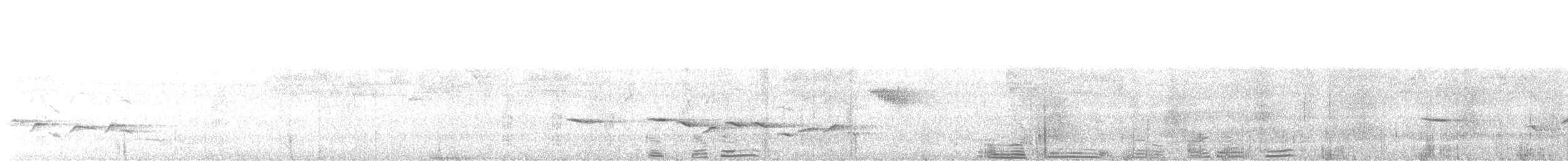 Black-breasted Thrush - ML633130643