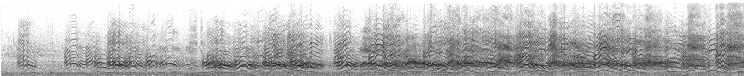 Mediterranean Gull - ML633131991