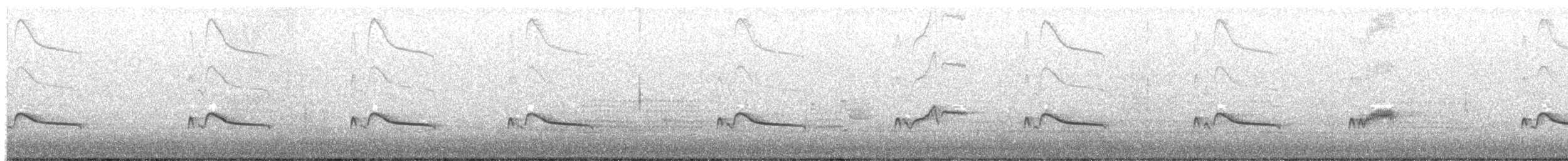 Moucherolle à ventre roux - ML633142271