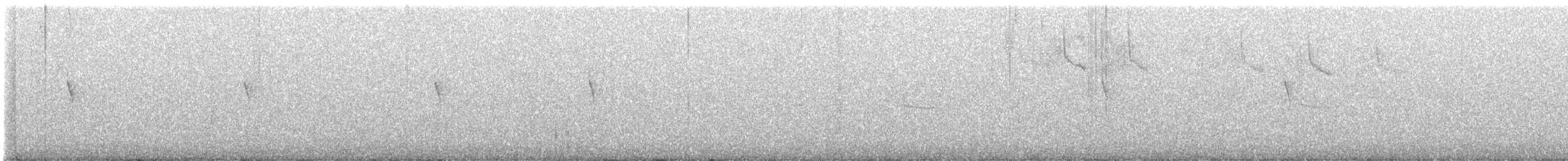 Rivoli's Hummingbird - ML633142888