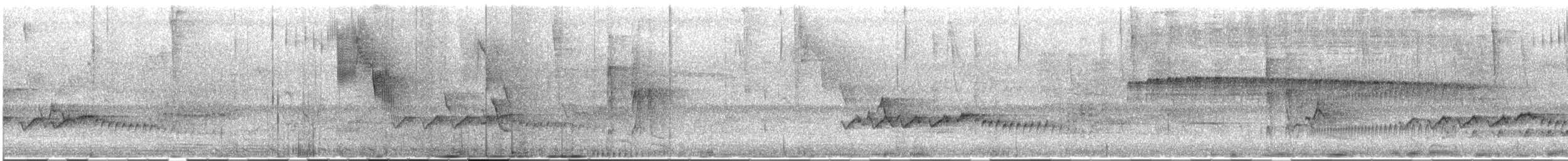 gråhodevireo - ML633148082