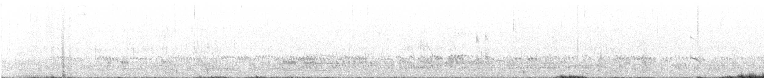 Great Knot - ML633154354