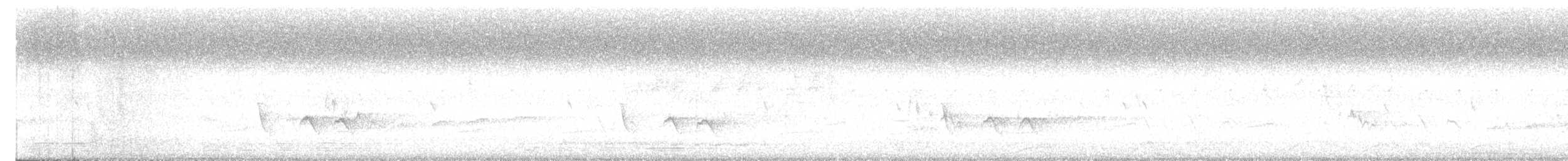 Pied Shrike-Babbler - ML633155455