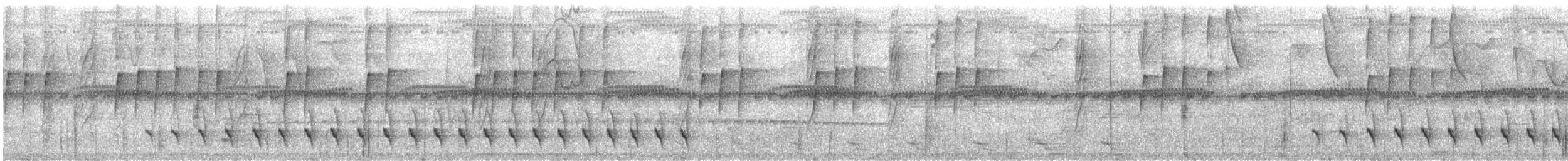 ズキンヒメアリサザイ - ML633160566