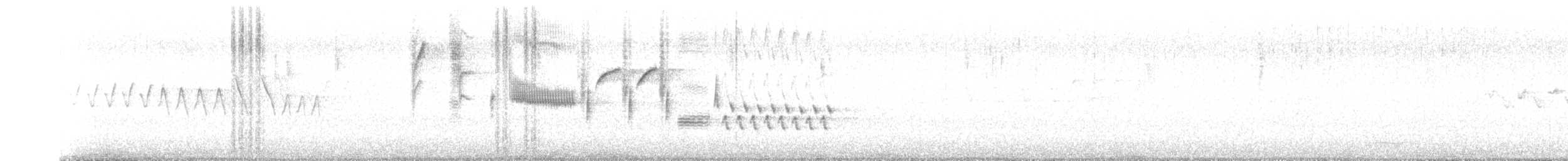 Bewick's Wren - ML633161132
