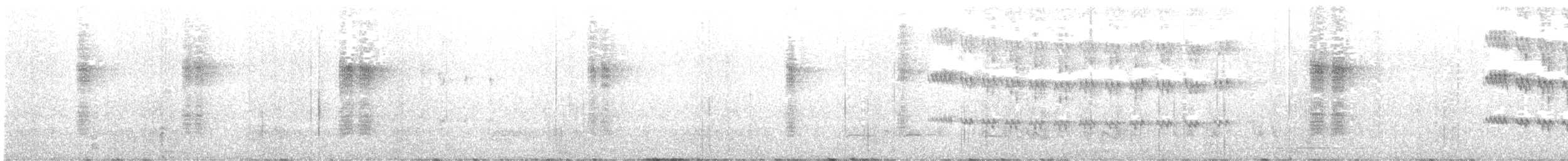 Black-headed Sibia - ML633162715