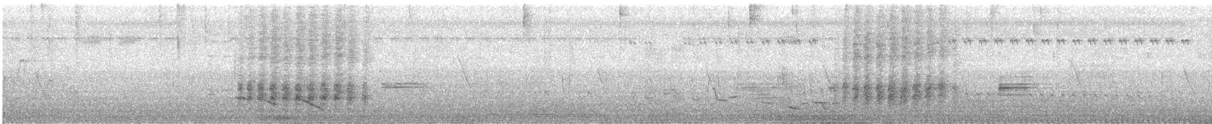 Rufous Treepie - ML633163848