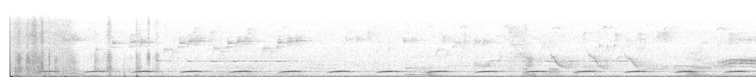 Wonga Pigeon - ML633170352