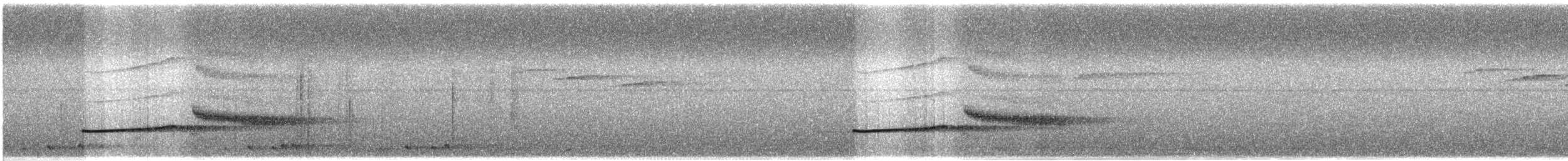 Marbled Wren-Babbler - ML633171359