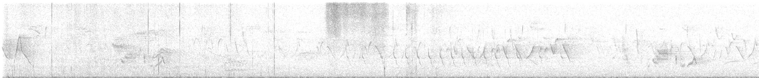 Swainson's Warbler - ML633172020