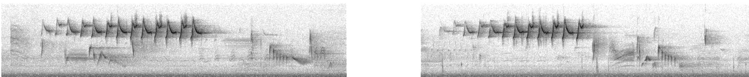 Black-and-white Warbler - ML633180587