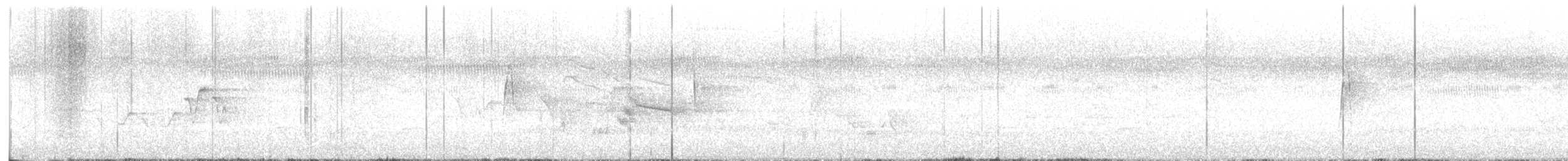 חטפית ירקרקה - ML633180862