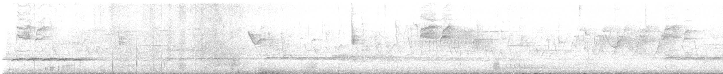 Protonoter Ötleğeni - ML633186691