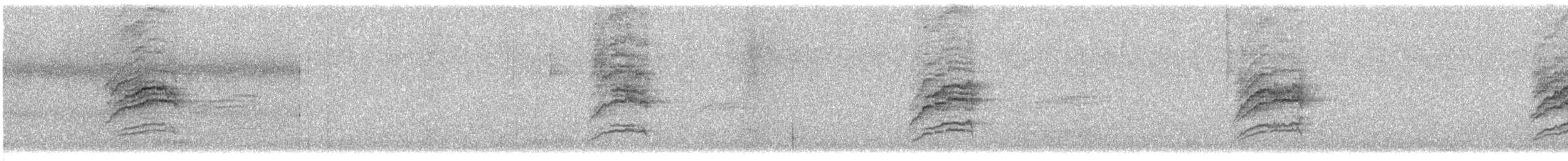 Hermit Thrush - ML633193403