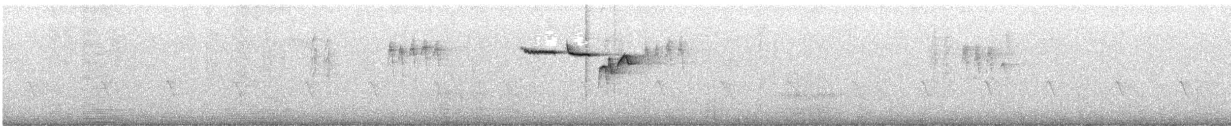 Brown Creeper - ML633194318