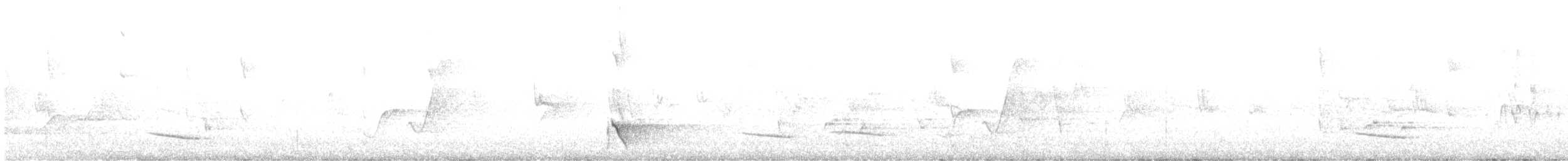 Dusky Robin - ML633198236