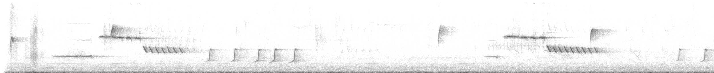 strnadec zimní x bělohrdlý (hybrid) - ML633202161