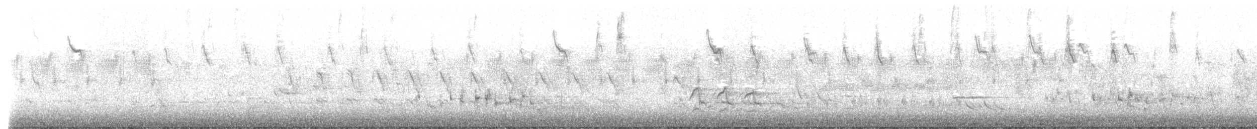 Huppe fasciée - ML633203216