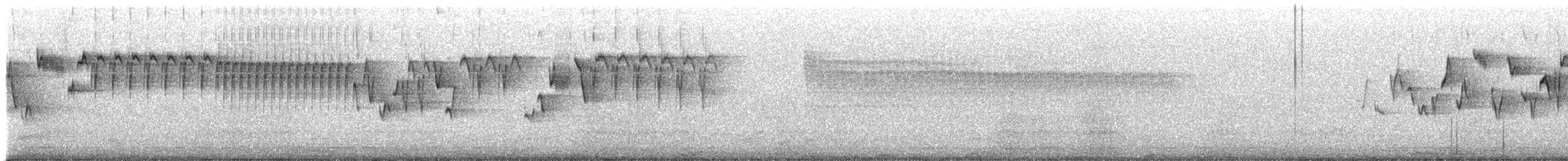 Pacific Wren - ML633203889