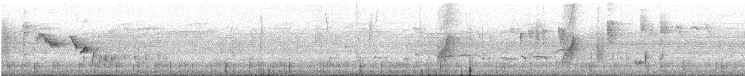 Mangrove Gerygone - ML633206450