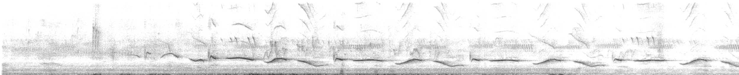 Black-crowned Tchagra - ML633210988