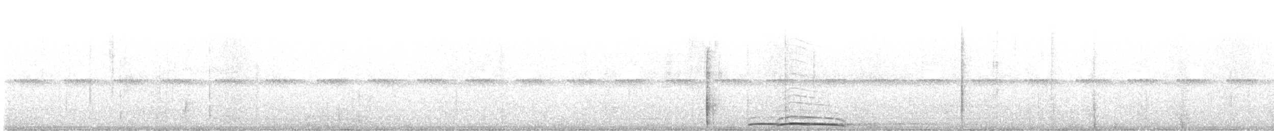 Maghreb Owl - ML633211266