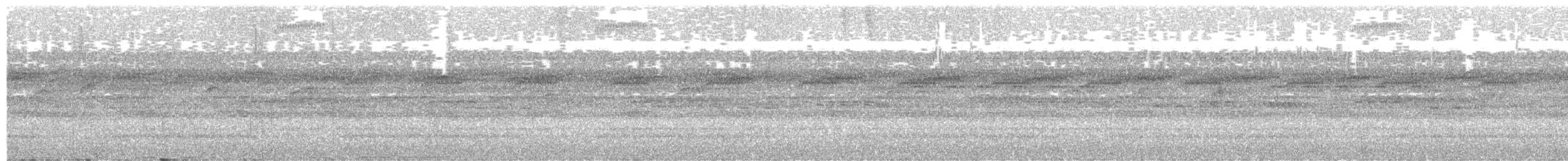 Nocturnal Curassow - ML633216147
