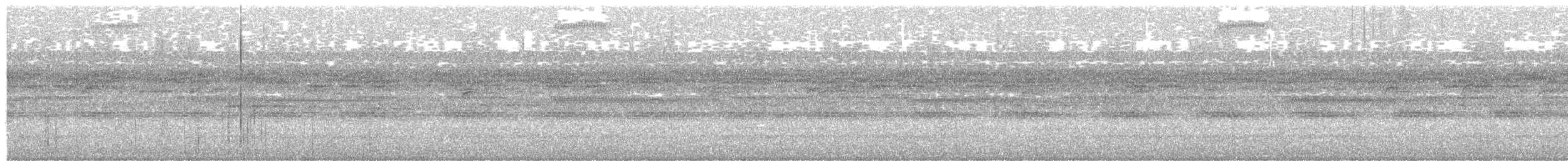 Nocturnal Curassow - ML633216148