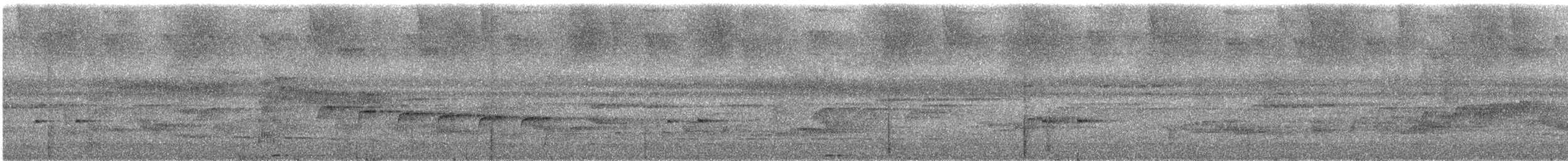 Black-tailed Leaftosser - ML633216796