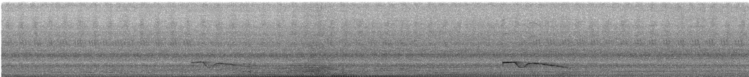 hornnattravn (cerviniceps/bourdilloni) - ML633218825