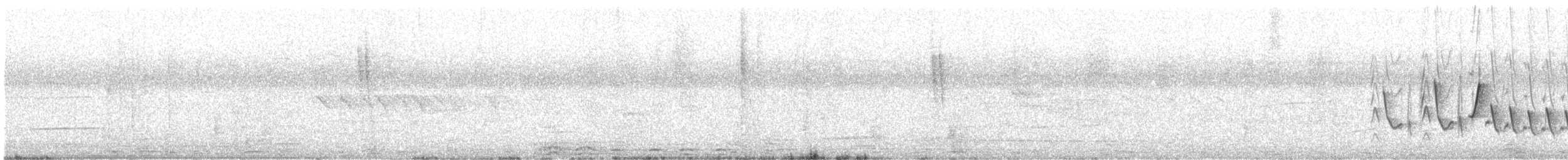 Southern House Wren - ML633221822