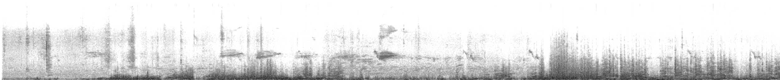 Boat-tailed Grackle - ML633225225