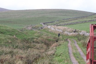 Quendale, Shetland Islands, Scotland, United Kingdom - eBird Hotspot