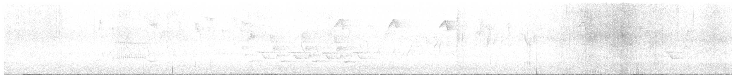 Yellow-throated Warbler - ML633241985