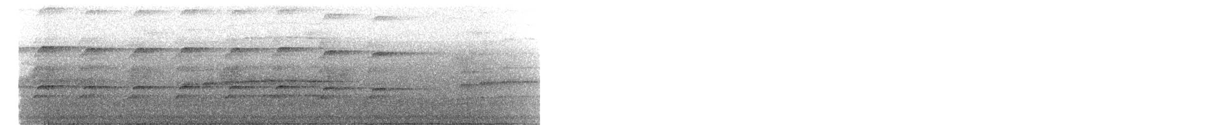 Autour blanc - ML633254461