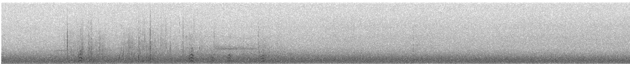 Büffelkopfente - ML633258678