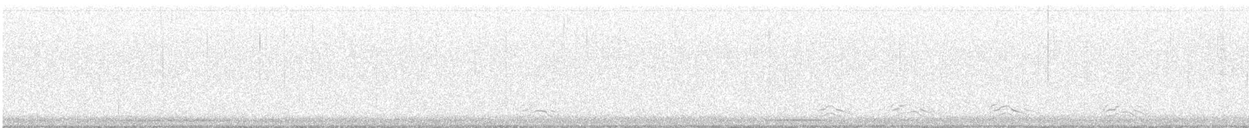 Mediterranean Gull - ML633262170