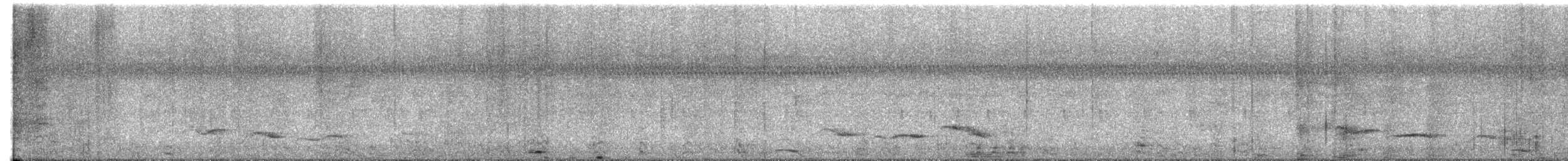 Abbott's Babbler - ML633263616