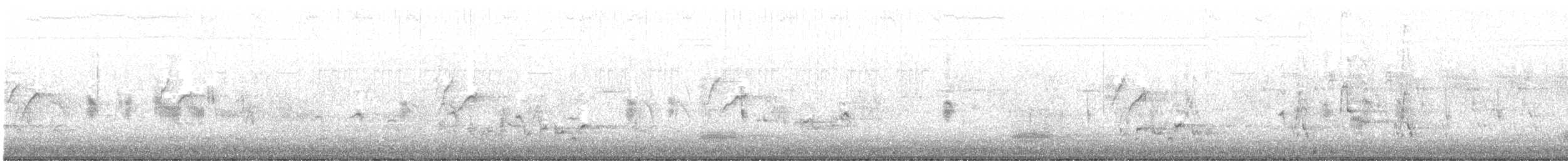 Bruant cendré - ML633265281