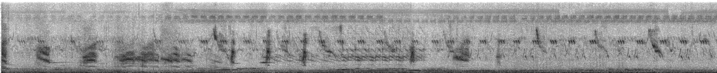 Black-breasted Weaver - ML633265870