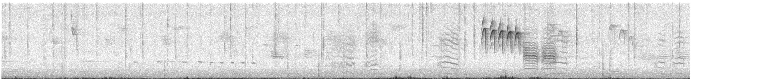 Northern Shrike - ML633270149