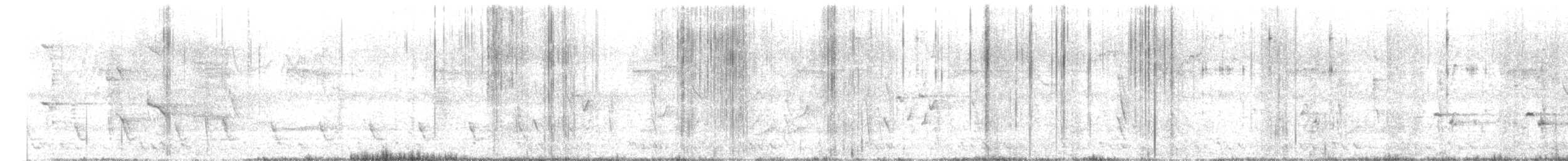 hårdrongo - ML633270612