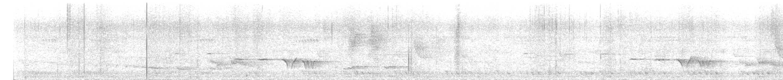 Gray-bellied Tesia - ML633270897