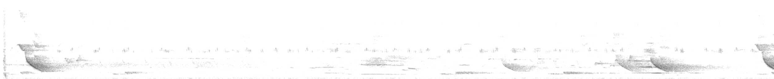 Common Hill Myna - ML633271426