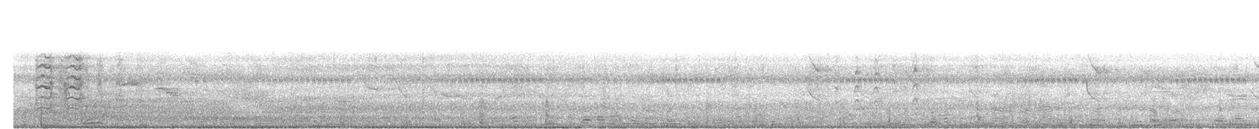 Langschwanzsittich - ML633273298