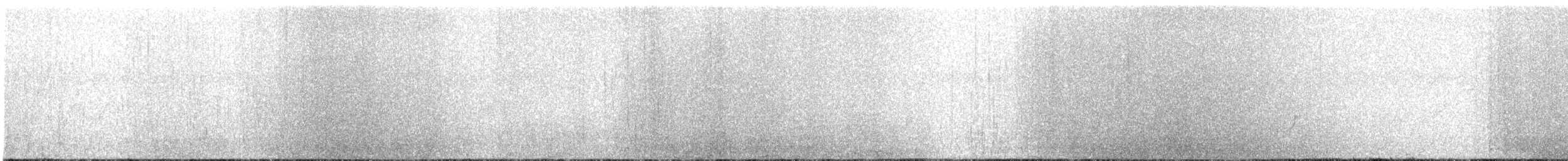 Malaysian Plover - ML633273818