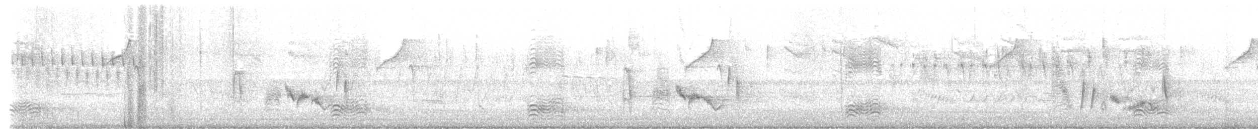 White-eyed Vireo - ML633276999