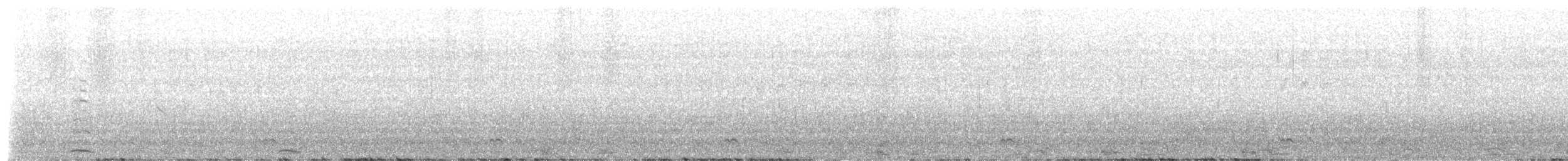 Codone - ML633283589
