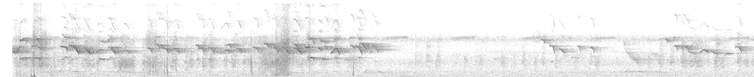 Yellow-billed Babbler - ML633284307